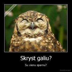 Skryst galiu? - Su vienu sparnu?