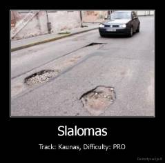 Slalomas - Track: Kaunas, Difficulty: PRO