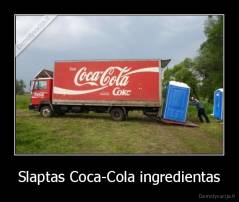 Slaptas Coca-Cola ingredientas - 