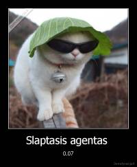 Slaptasis agentas  - 0.07