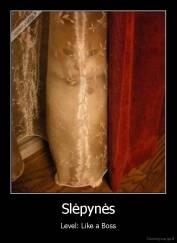Slėpynės - Level: Like a Boss