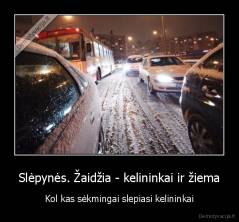 Slėpynės. Žaidžia - kelininkai ir žiema - Kol kas sėkmingai slepiasi kelininkai