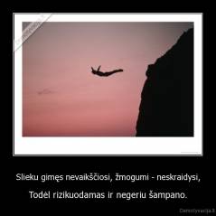 Slieku gimęs nevaikščiosi, žmogumi - neskraidysi, - Todėl rizikuodamas ir negeriu šampano.