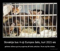 Slovakija bus 4-oji Europos šalis, kuri 2021-ais - galutinai uždraus gyvūnų auginimą dėl kailio prekybos. Mums irgi šito trūksta.