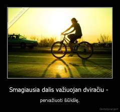 Smagiausia dalis važiuojan dviračiu -  - pervažiuoti šiūkšlę.