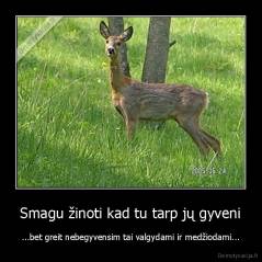 Smagu žinoti kad tu tarp jų gyveni - ...bet greit nebegyvensim tai valgydami ir medžiodami...