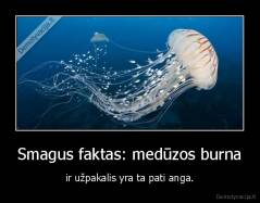 Smagus faktas: medūzos burna - ir užpakalis yra ta pati anga.