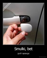 Smulki, bet - gudri apsauga