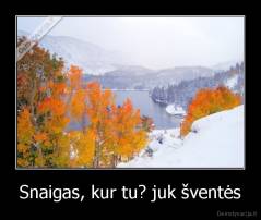 Snaigas, kur tu? juk šventės - 