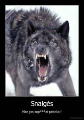 Snaigės - Man jos sup***ai patinka!!