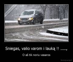 Sniegas, valio varom i lauką !! ....., - O aš tik noriu vasaros