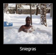Sniegras - 