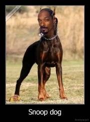 Snoop dog - 