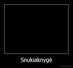 Snukiaknygė - 