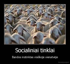 Socialiniai tinklai - Bandos instinktas visiškoje vienatvėje