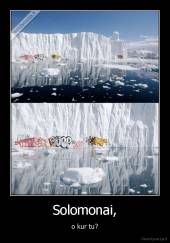 Solomonai, - o kur tu?