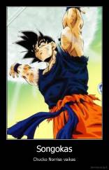 Songokas - Chucko Norriso vaikas