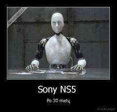 Sony NS5  - Po 30 metų