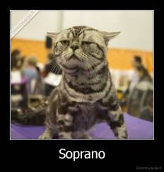 Soprano - 