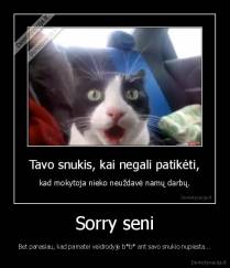 Sorry seni - Bet panasiau, kad pamatei veidrodyje b*b* ant savo snukio nupiesta...