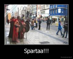 Spartaa!!! - 