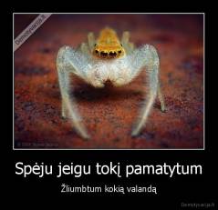 Spėju jeigu tokį pamatytum - Žliumbtum kokią valandą