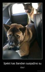 Spėkit kas šiandien susipažino su - Ežiu?