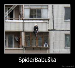 SpiderBabuška - 