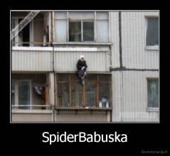 SpiderBabuska - 