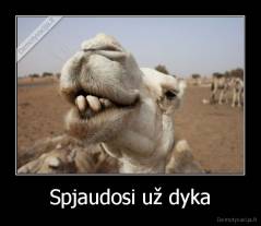 Spjaudosi už dyka - 