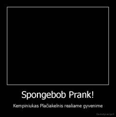 Spongebob Prank! - Kempiniukas Plačiakelnis realiame gyvenime