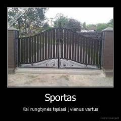 Sportas - Kai rungtynės tęsiasi į vienus vartus