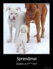 Sprendimai - Suėdam ar iš****am?