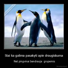 Stai ka galima pasakyti apie draugiskuma -  Net pingvinai bendrauja  grupemis