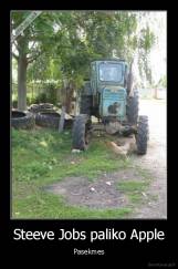 Steeve Jobs paliko Apple - Pasekmes