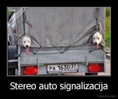 Stereo auto signalizacija - 