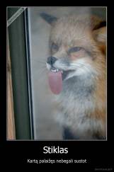 Stiklas  - Kartą palaižęs nebegali sustot