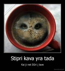 Stipri kava yra tada - Kai ji net žiūri į tave