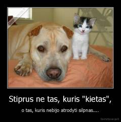 Stiprus ne tas, kuris "kietas", - o tas, kuris nebijo atrodyti silpnas....