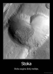 Stoka - Stoka augina širdį meilėje.