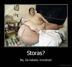 Storas? - Ne, čia kebabu monstras!