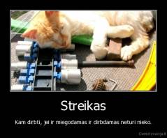 Streikas - Kam dirbti, jei ir miegodamas ir dirbdamas neturi nieko.