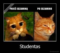 Studentas - 