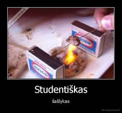 Studentiškas - šašlykas