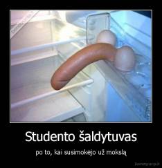 Studento šaldytuvas - po to, kai susimokėjo už mokslą