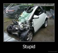 Stupid - 