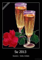 Su 2013  - Gyvaciu - bobu metais