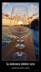 Su kiekviena stikline vyno - siaurėja mūsų požiūris į pasaulį