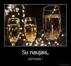 Su naujais, - LIETUVIAI !