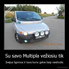 Su savo Multipla vežiosiu tik - žvejus ligonius ir tuos kuriu galva kaip veidrodis